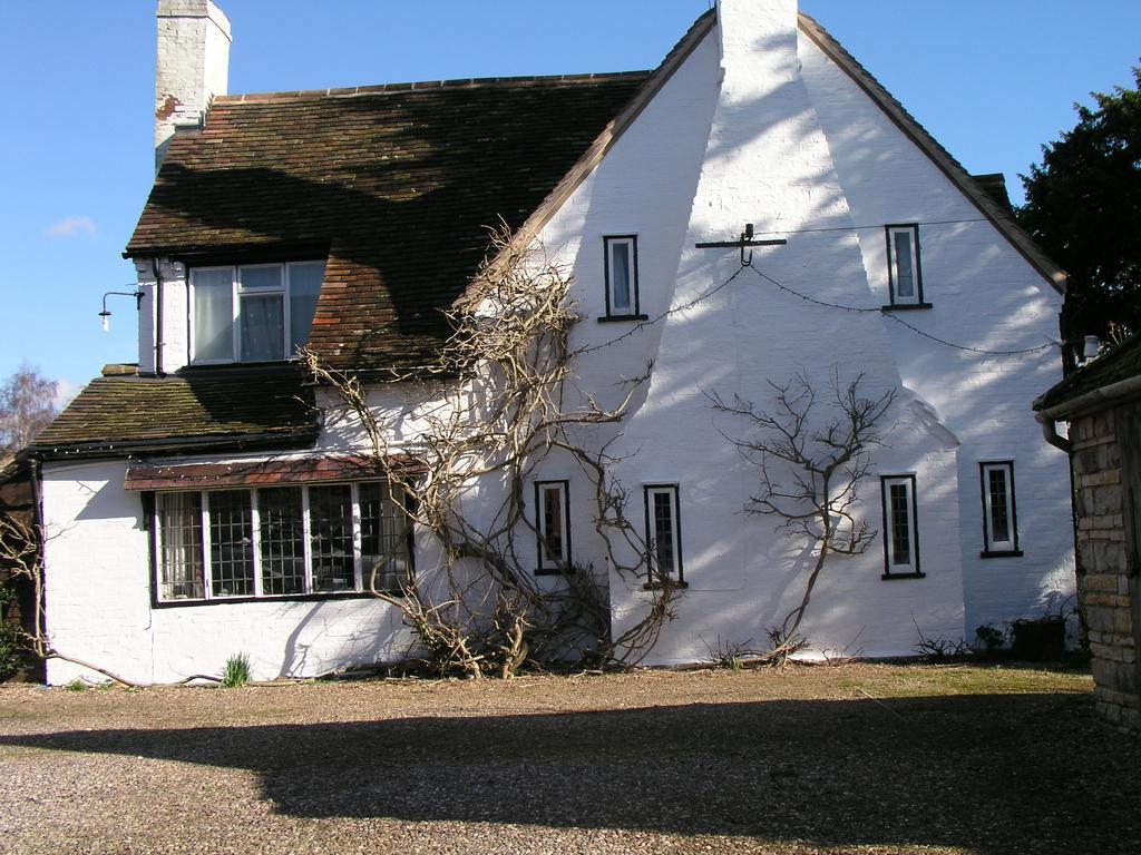 Harbour Hotel New Quay Exterior foto